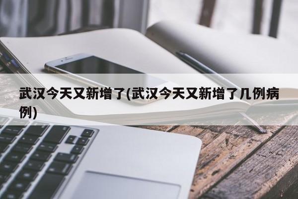 武汉今天又新增了(武汉今天又新增了几例病例)
