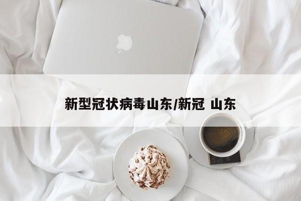 新型冠状病毒山东/新冠 山东