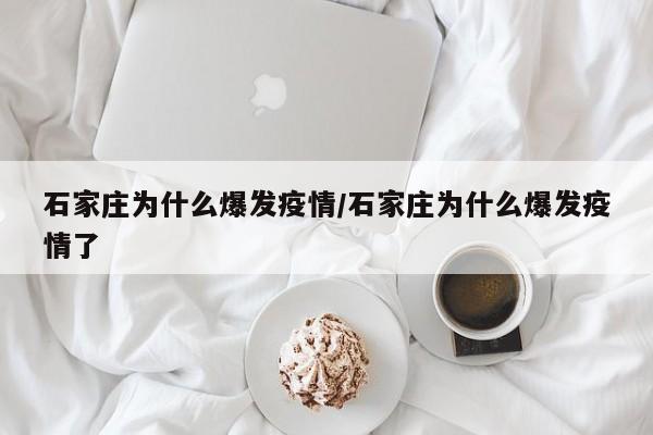 石家庄为什么爆发疫情/石家庄为什么爆发疫情了